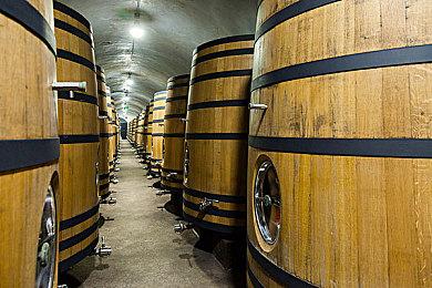 《卧龙：苍天陨落》发布1.14版本更新 平衡调整修复Bug